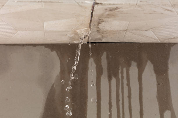 Professional Water Damage Repair technician working in Seymour, TX